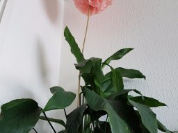 20160619_181727__2_-168
