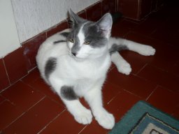 img_1224183696_214_lg