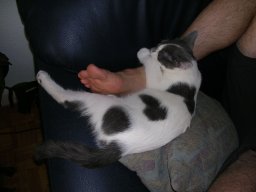 img_1224185262_897_lg